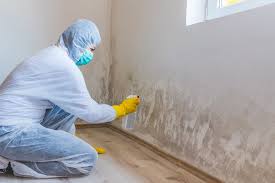 Best Asbestos and Lead Testing During Mold Inspection in Kirkland, IL